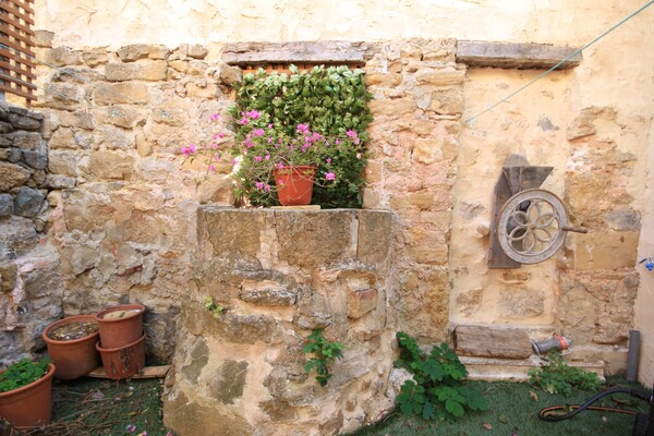 Detalle - Patio - Jardn